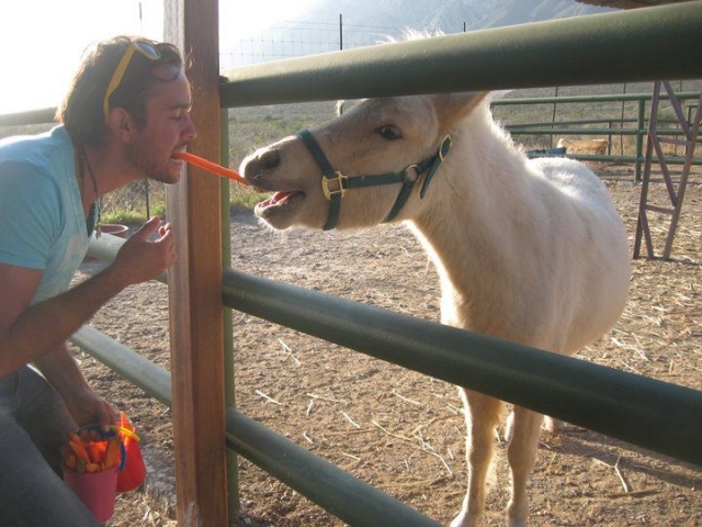 Alimentando a nuestros amigos